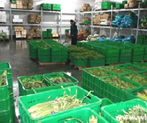 塑料周轉(zhuǎn)筐能用多少年？